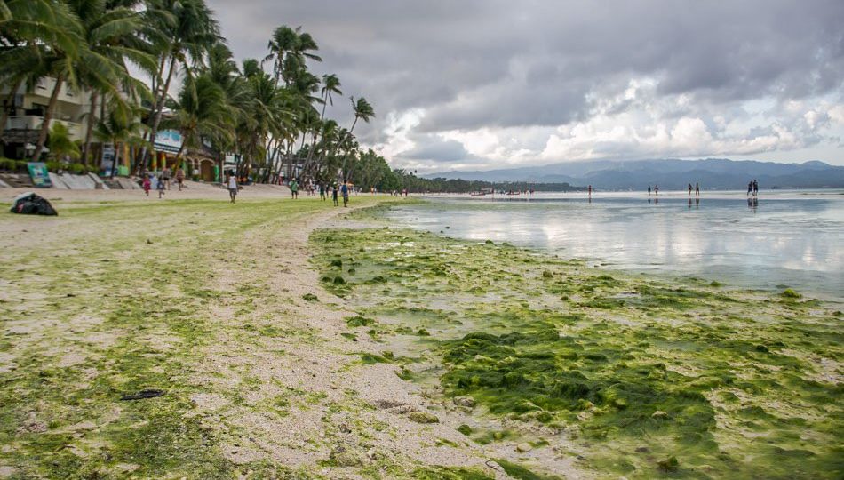 Photo by Mark Saludes of ABS-CBN News. 
