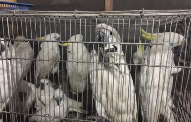 Photo from ABS-CBN News reporter Anjo Bagaoisan.