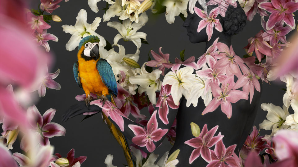 Photo: “Zola with Lillies” by Emma Hack, Emma Hack Gallery, Australia, Room 4203