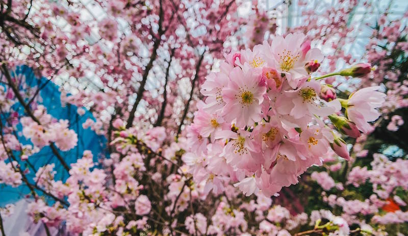 Photo: Gardens by the Bay/Facebook