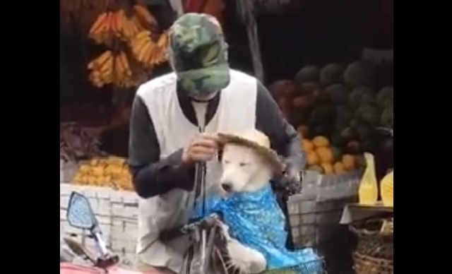 Screengrab from Facebook