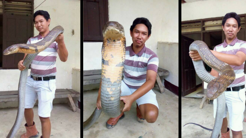 Photos: Made Dwi Sudarmawan / Facebook 