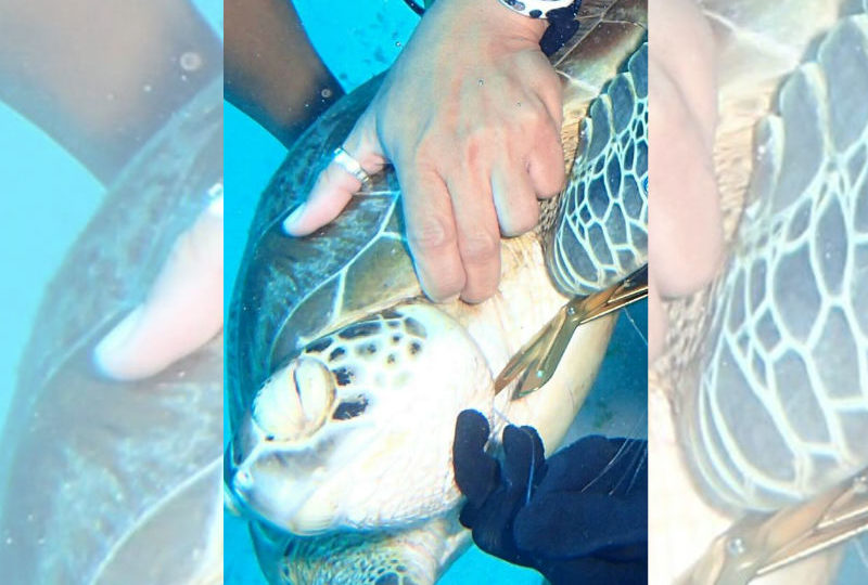 Photo from Omar D. Linsangan Facebook page. 