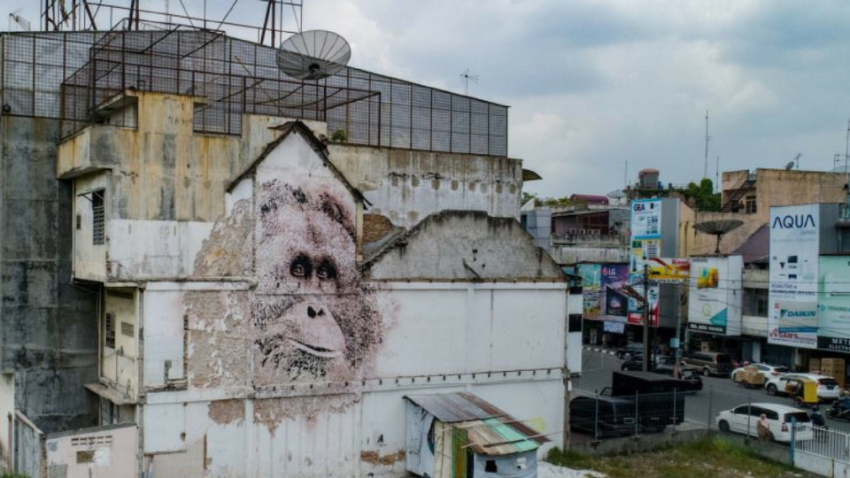 Orangutan mural by Vhils’ in the city of Medan. Photo: Nicholas Chin