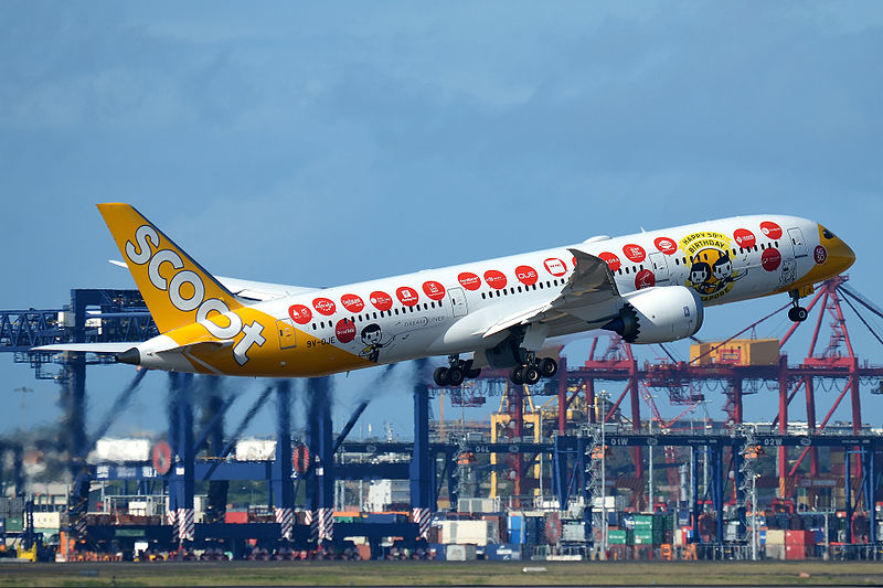 File photo of Scoot Boeing 787-9 taking off at the Sydney Airport. Photo: Damien Aiello/ Wikimedia Commons