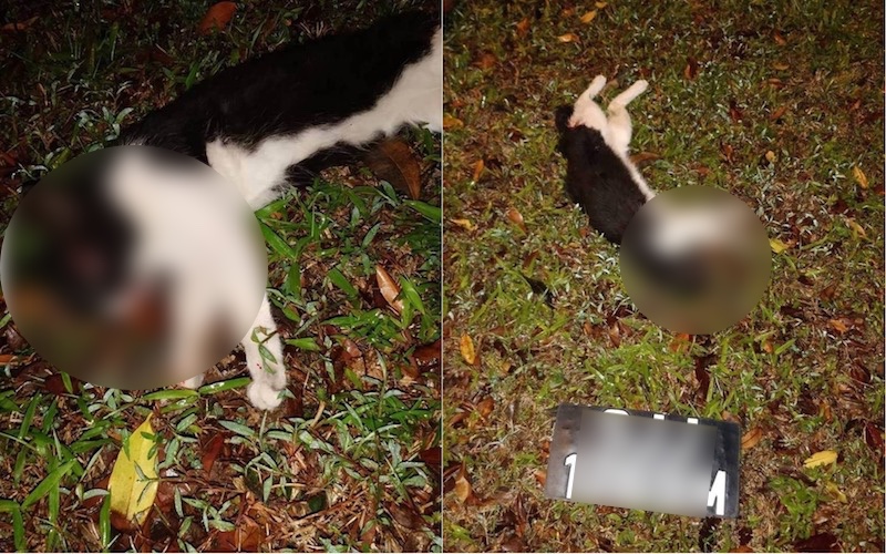 Photo: Hardware Zone Forum