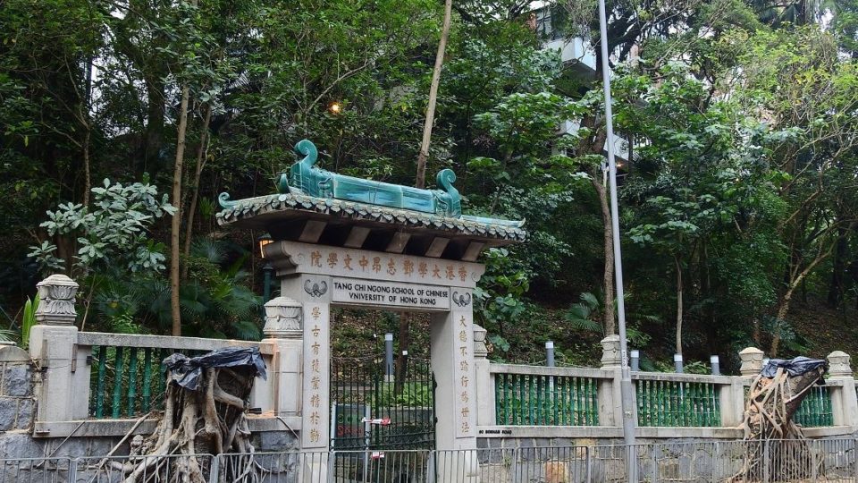 The stumps of two banyan trees that stood at the entrance of Tang Chi Ngong Building of the University of Hong Kong. Picture: Facebook via Treeshkwest