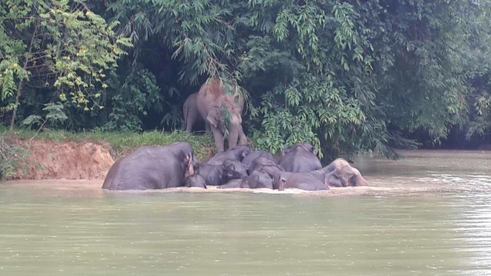 Photo: DNP/ Facebook