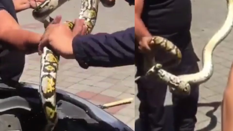 Photos via Info Denpasar 