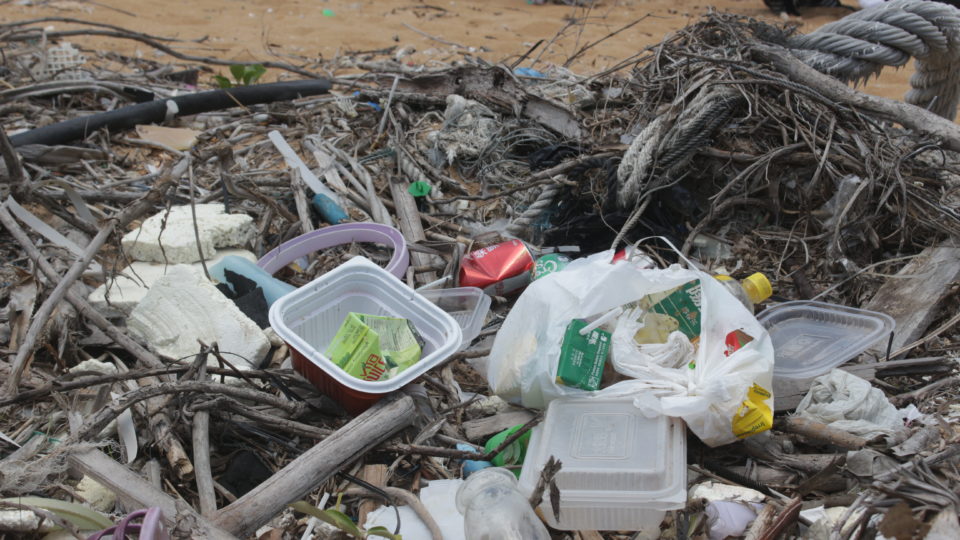 Photo by Vicky Wong.