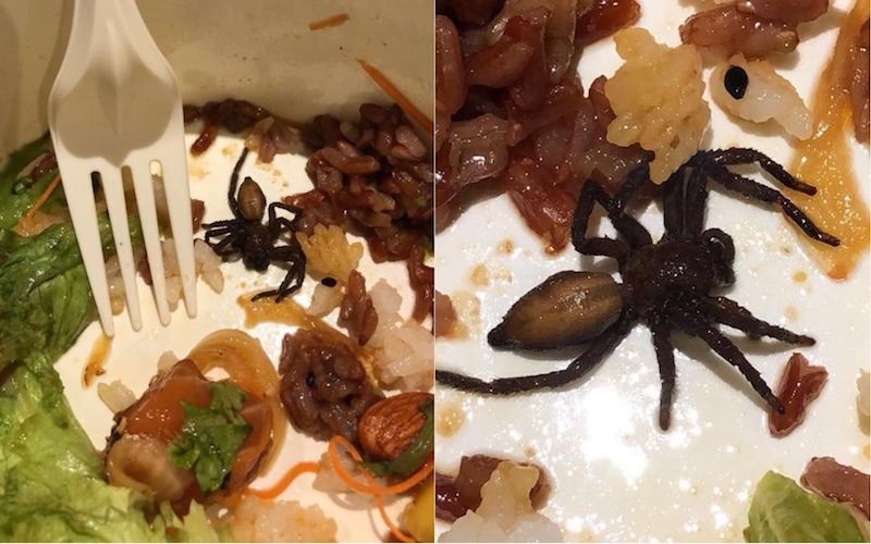 Photo: Siew Ping / Facebook