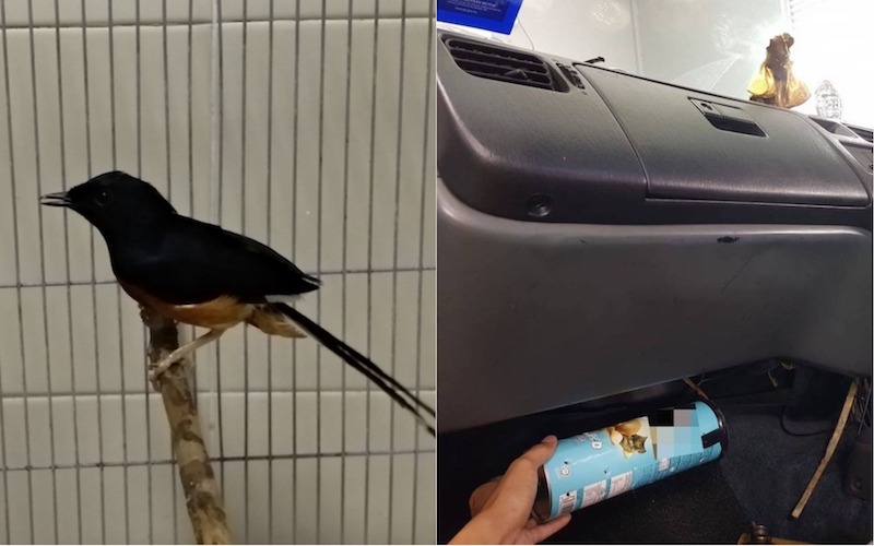 Photo: ICA / Newsroom