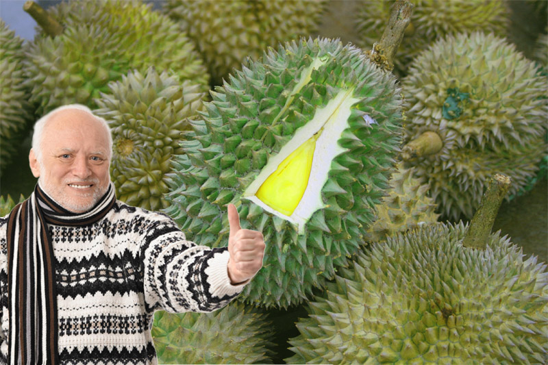 Durian photo: Wikimedia Commons