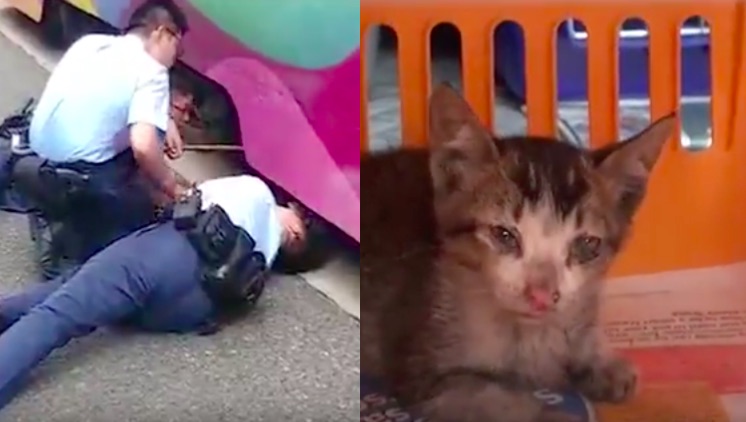 Screengrab via Apple Daily video.