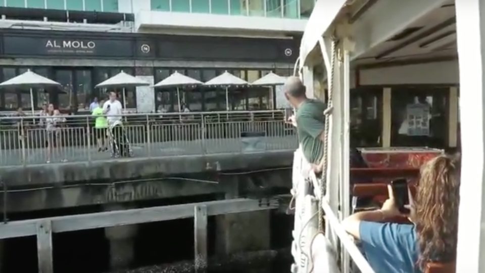 Screen grab (YouTube)