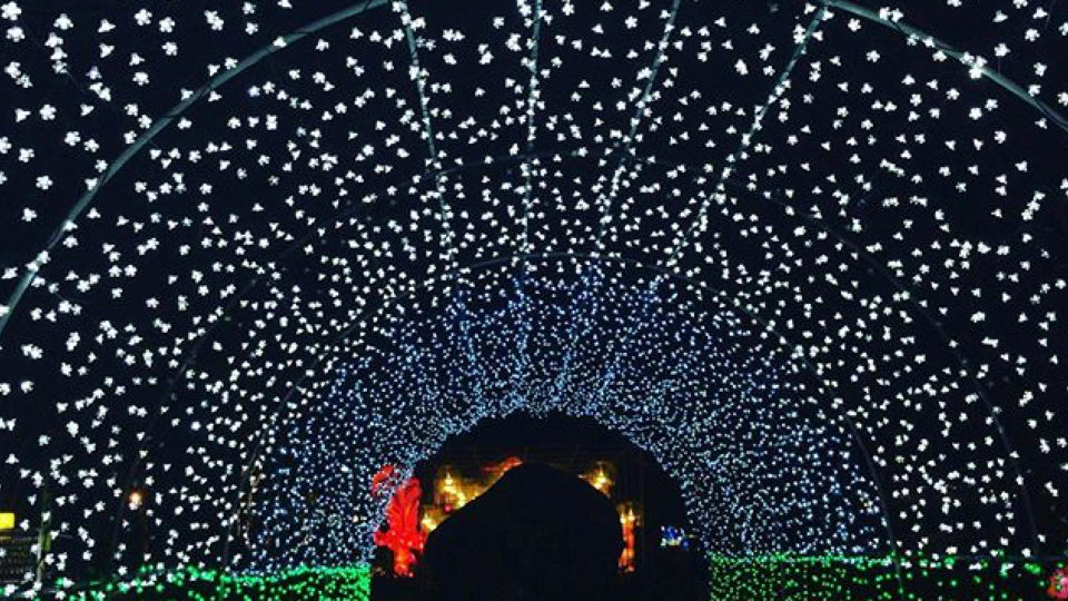 Photo: Nusa Dua Light Festival