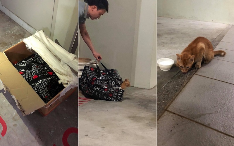 Photo: Yvonne Teoh / Facebook