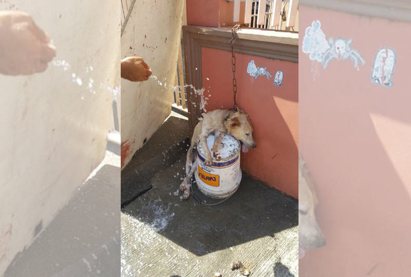 Photo from Nemie Zaballero Carurucan Facebook page. 