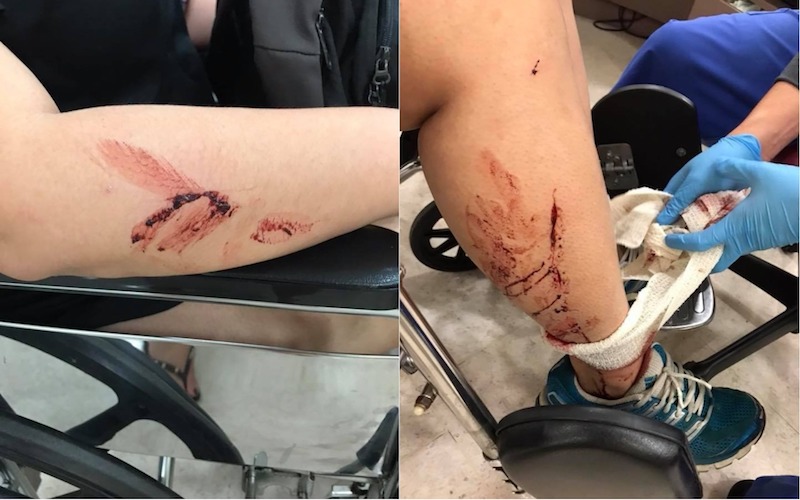 Photo: Jenn Low / Facebook