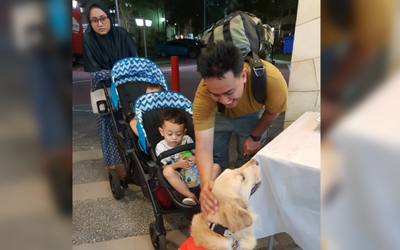 Photo: Rin Han / Facebook