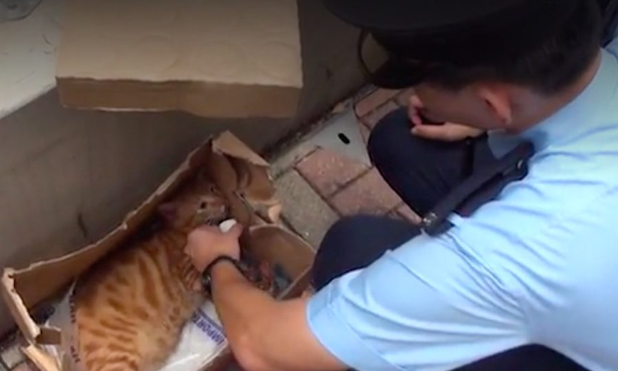 Screengrab via Apple Daily.