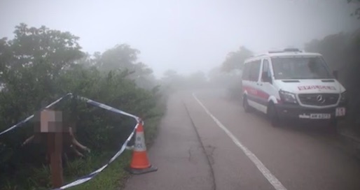 Screengrab via Apple Daily video.