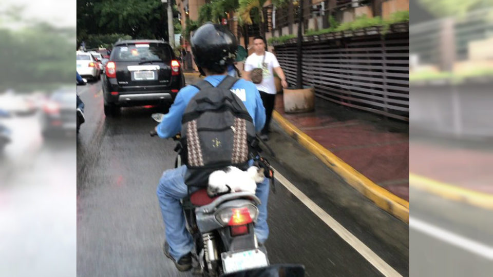 Photo via @kirbygaitano’s Twitter account.