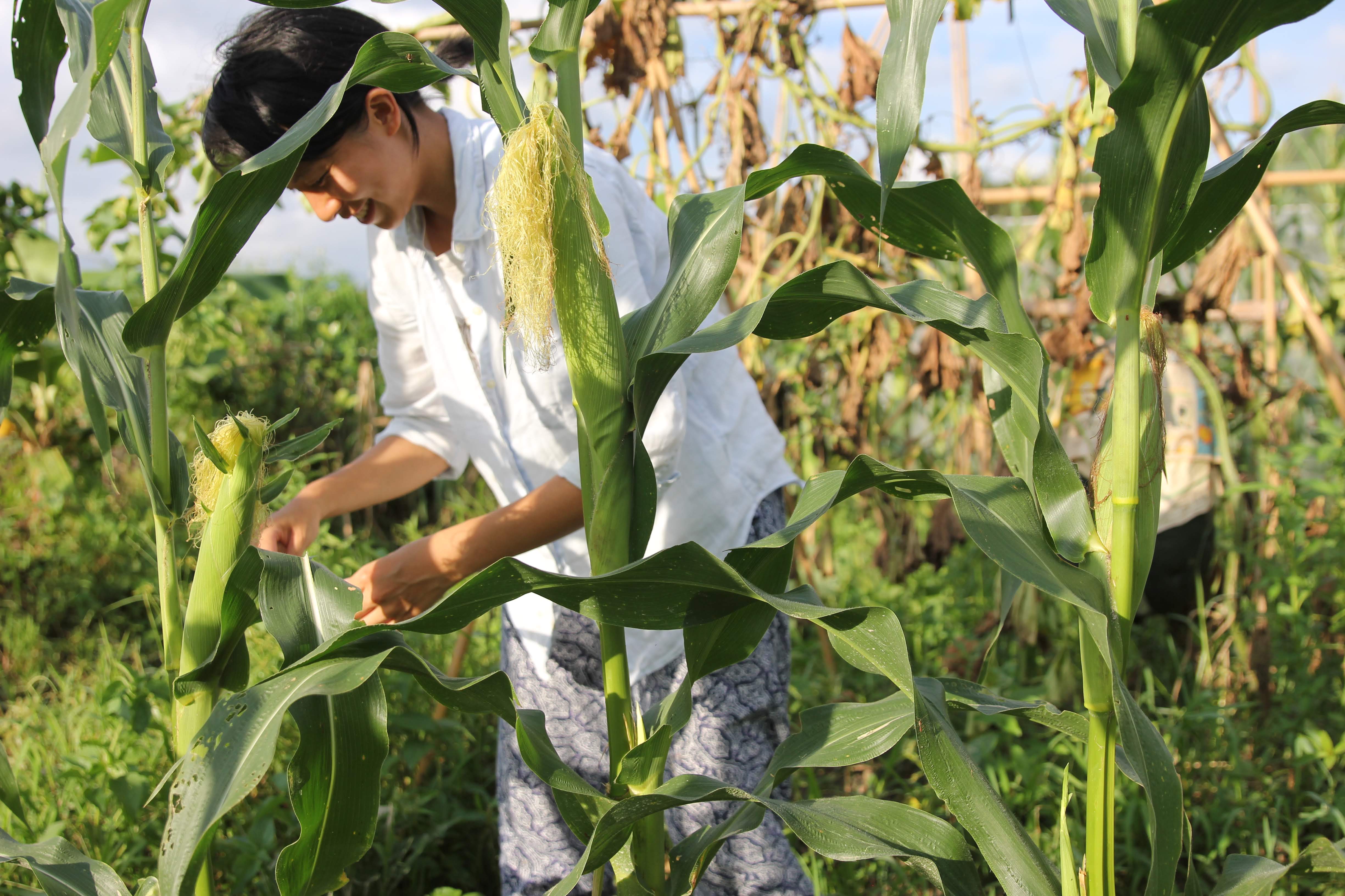 Angeline Chan, 26, studied law, and is one of the trainee farmers at Wildroots Farm in Sheng Shui. 