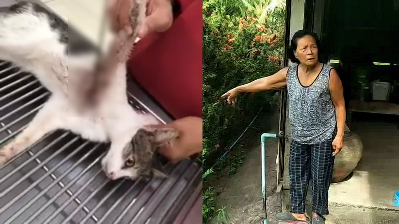 Screenshots: Watchdog Thailand/ T News