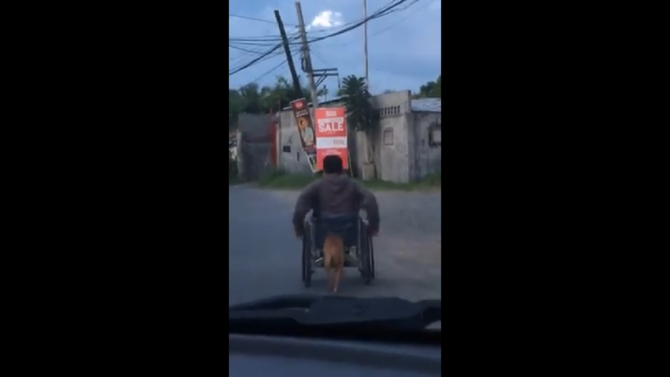 A master and his loyal dog. Screenshot from Faith L. Revilla’s Facebook video.