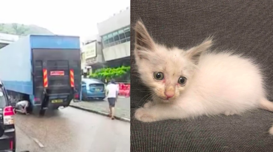 Screenshots via Facebook