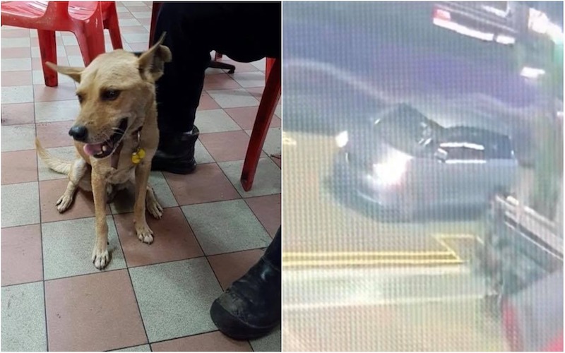 Photos: Tee Wei Chuan / Facebook