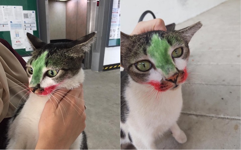 Photos: Firdaus B. Zulkifli / Facebook