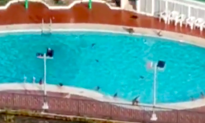 Screenshot via Apple Daily video.