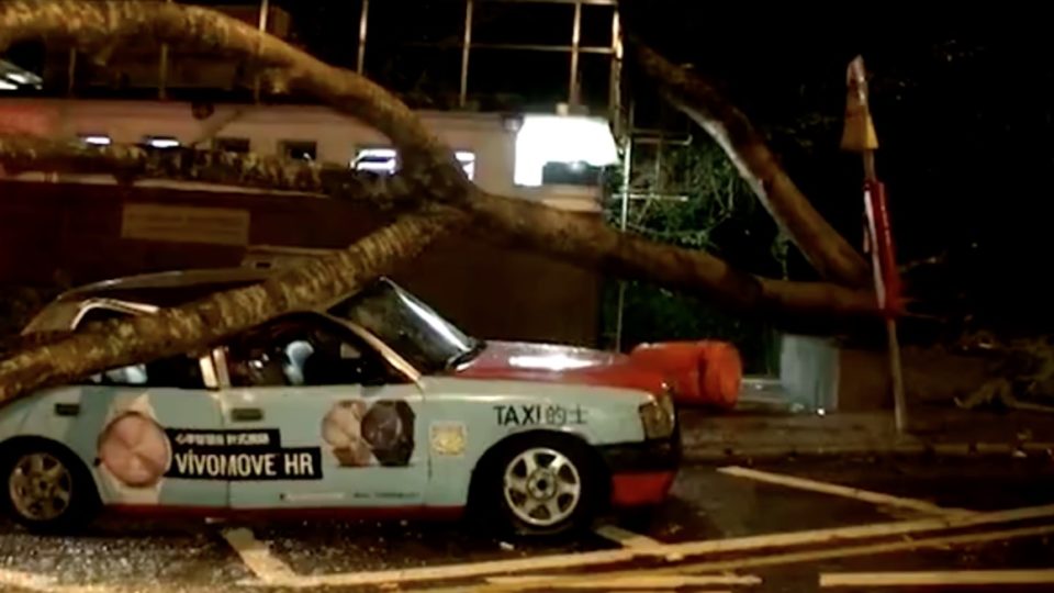 Screenshot/Apple Daily