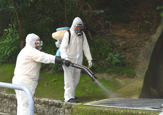 HK authorities spray for mosquitos. Picture: http://www.news.gov.hk/