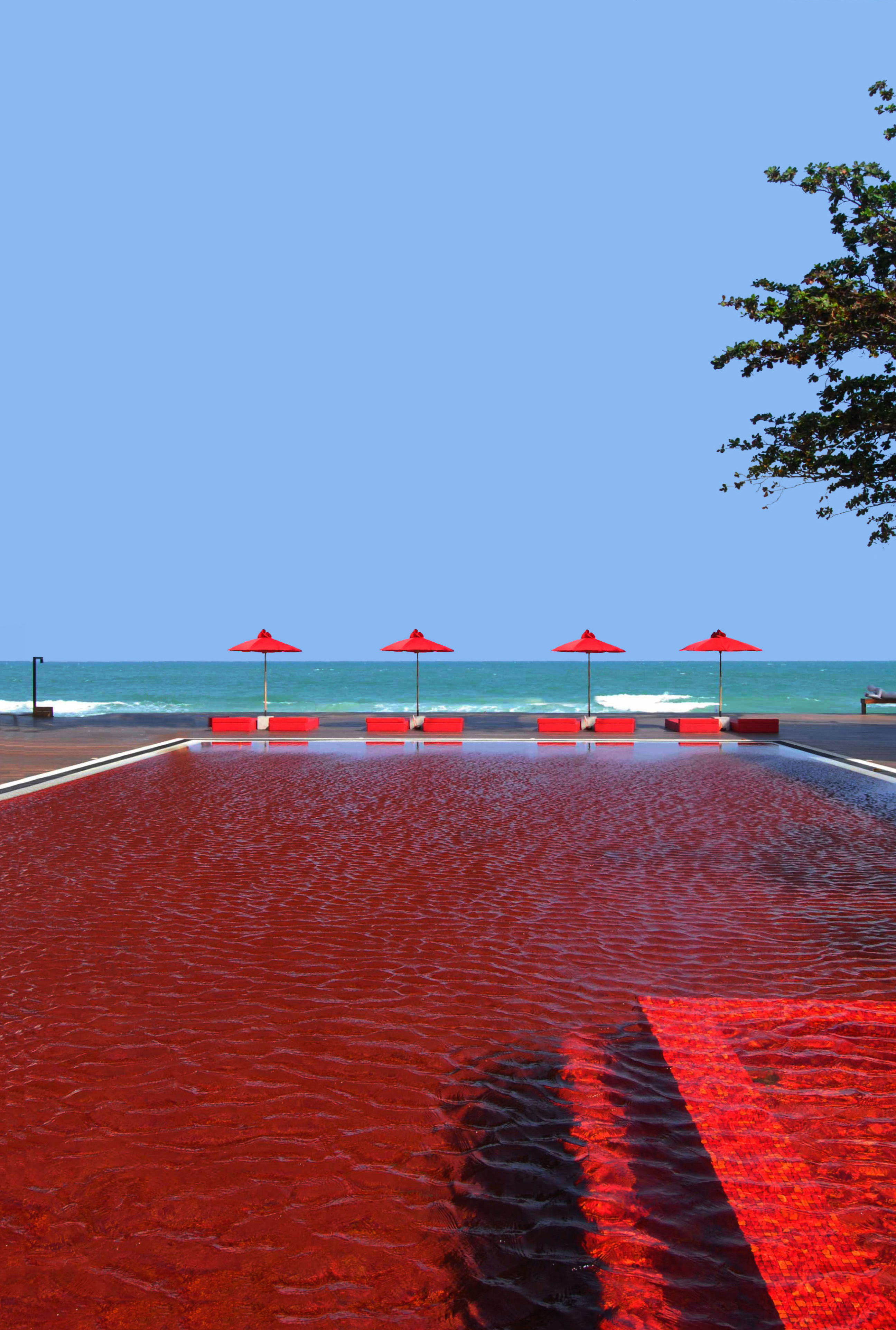 Photo: Courtesy of The Library