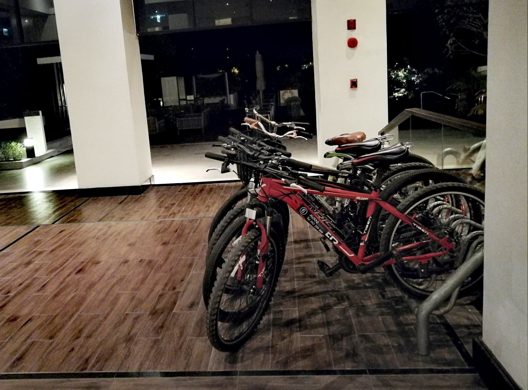 Photo: Laurel Tuohy/Coconuts