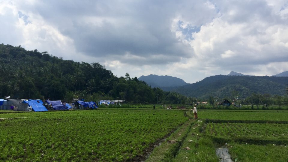 An evacuation camp in West Lombok on August 19, 2018. Photo: Coconuts Bali