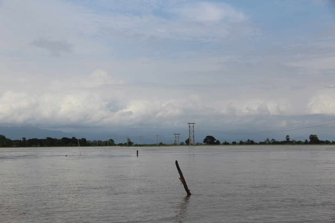 Partially submerged utility poles outside Nanbaw village on Aug. 2, 2018. They have never been turned on. Photo: Jacob Goldberg