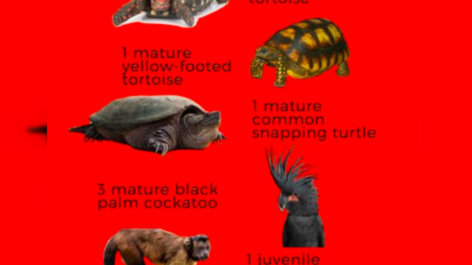 Photo: Avilon Zoo Facebook page