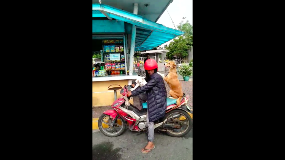 Photo: Screenshot from Franz Marjoe Facebook page