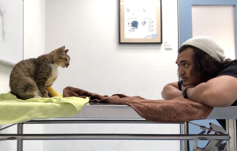 Photo: Video screengrab