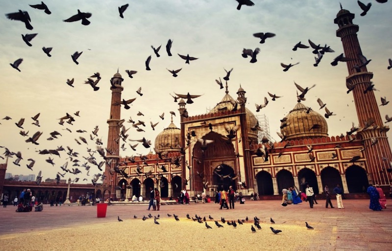 Delhi. Photo: andBeyond