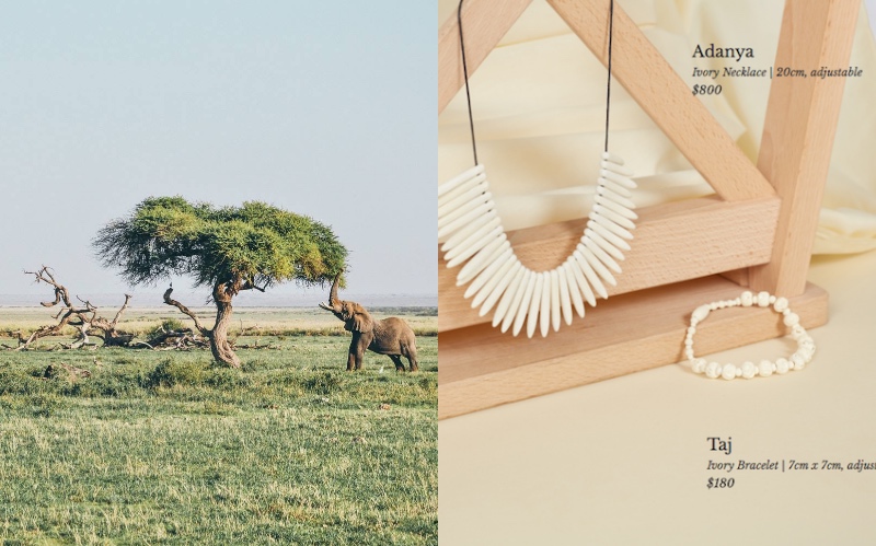 Photo: Facebook; website screengrab