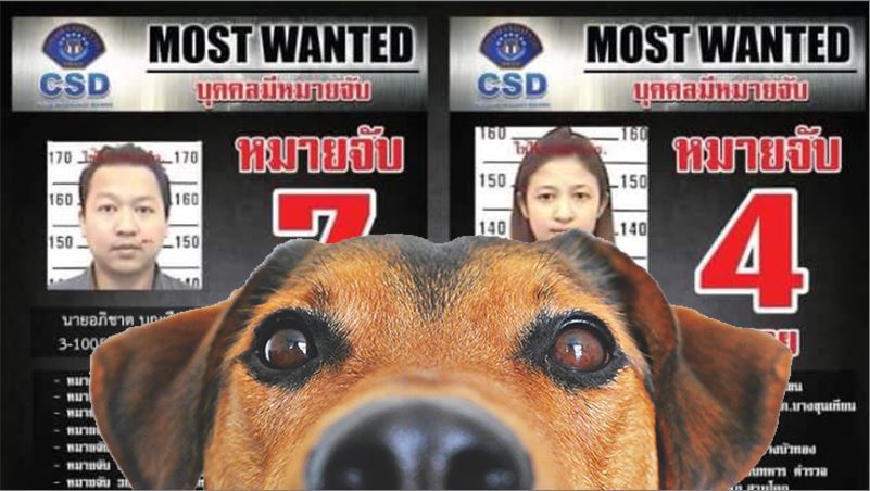 Photo: Crime Suppression Division