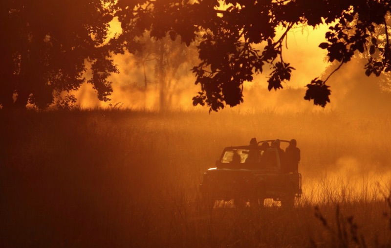 Panna National Park. Photo: andBeyond