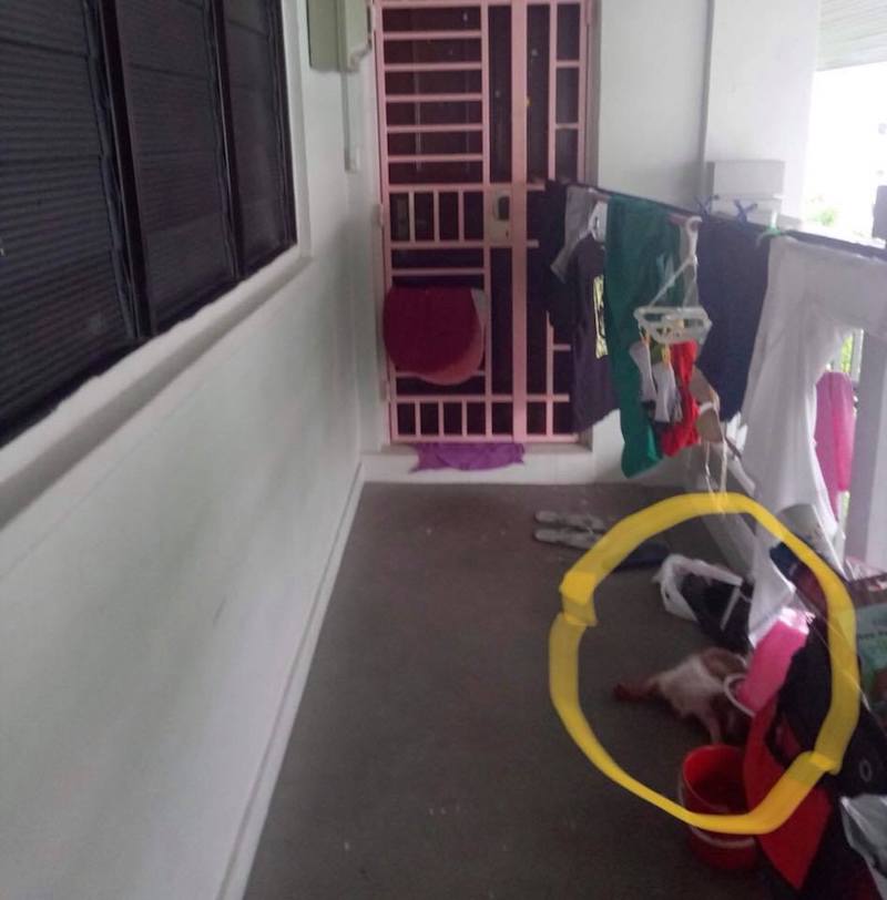 Photo: Purely Adoptions / Facebook