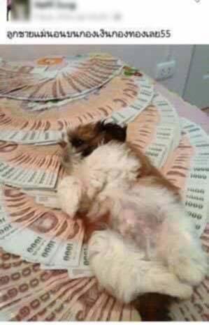 An alleged Facebook post by Tiyata Boonreung. Photo: Sanook