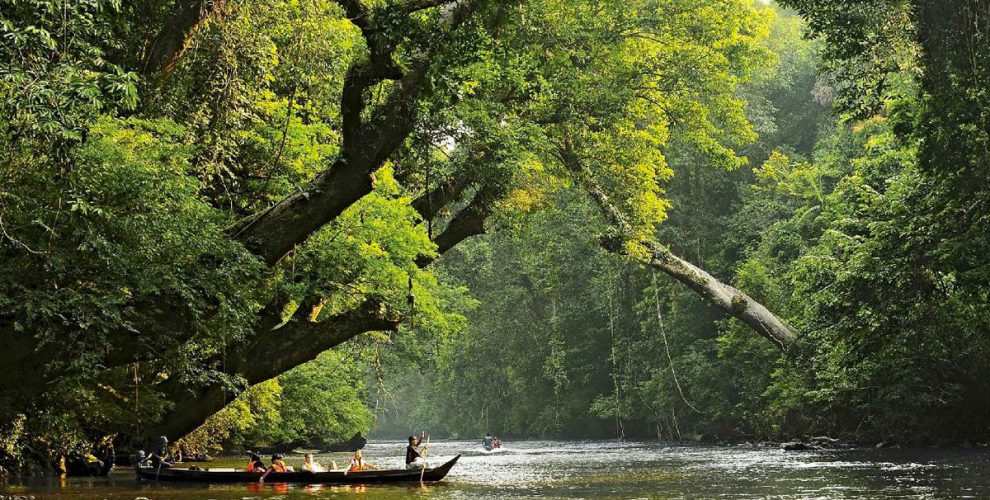 Taman Negara via Tourism Malaysia